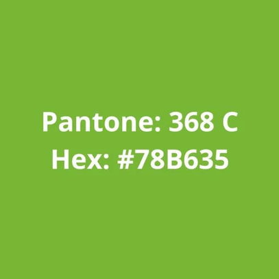 Filamento PLA Verde 75g