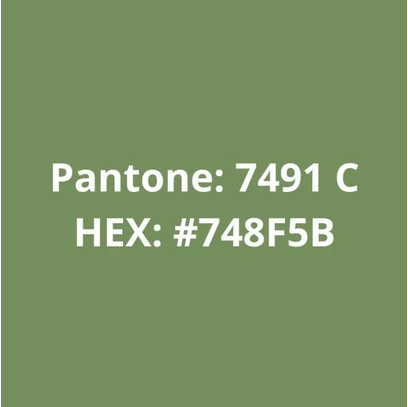 Imagem 4 de Filamento PLA Verde Militar 1kg