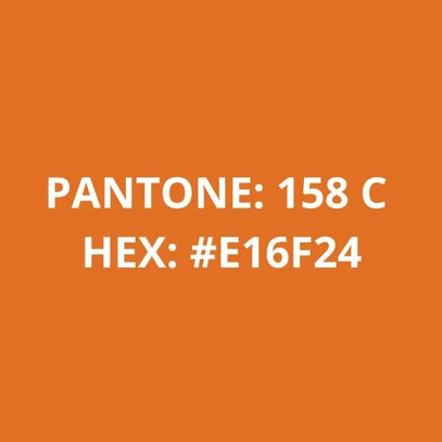 Filamento PLA Laranja 75g