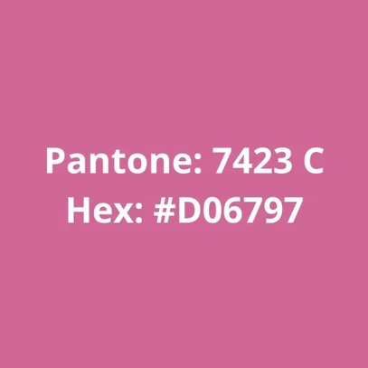 Filamento PLA Rosa 75g