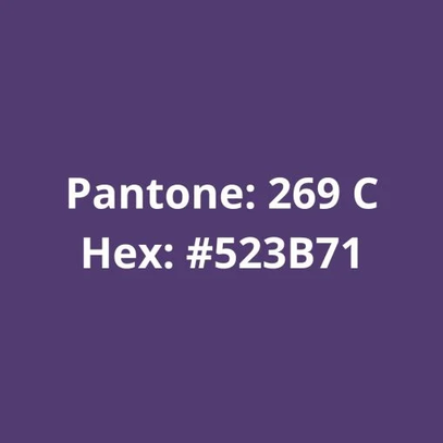 Filamento PLA Roxo 75g