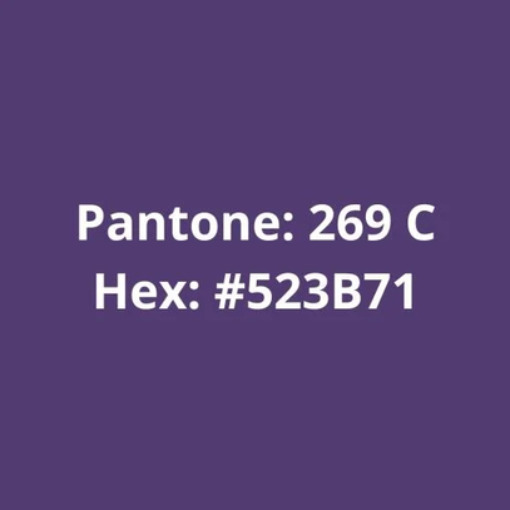 Filamento ABS Premium Roxo Titanio 75g