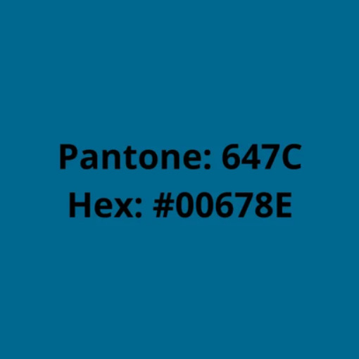 Filamento PLA Azul 75g
