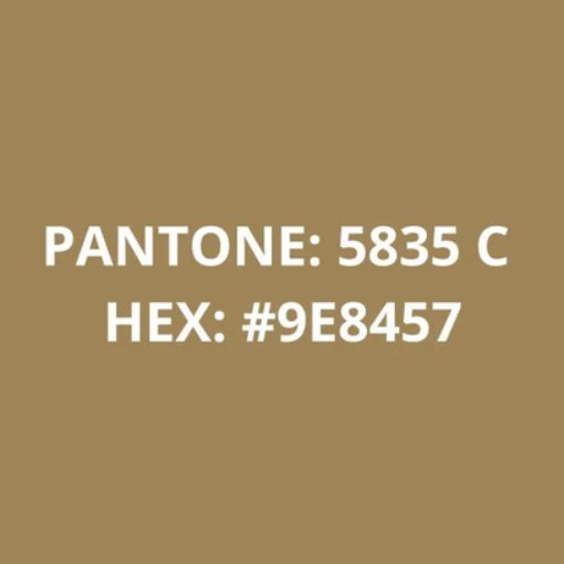 Imagem 4 de Filamento PLA Dourado 1Kg